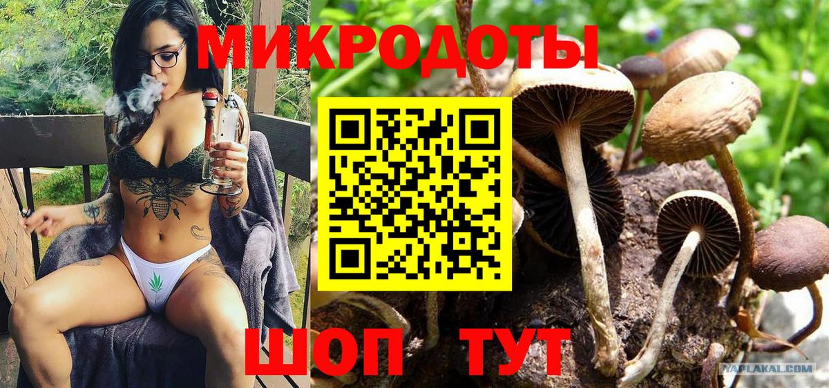 Галлюциногенные грибы Psilocybe Симферополь