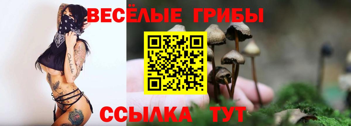 Псилоцибиновые грибы мицелий  Вход с VPN  Симферополь 